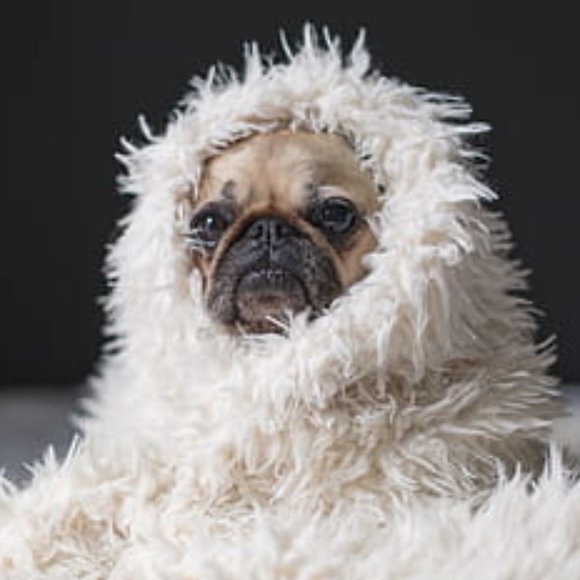 Meet your Posher, Coryanne - Picture 1 of 1